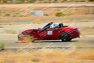 media/Sep-07-2024-Extreme Speed (Sat) [[dfc0b31d10]]/Orange Group/Session 2-Turns 5 6 and 7/